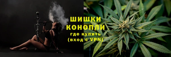 mdpv Бронницы