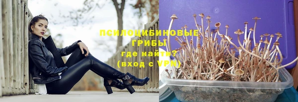 СК Бугульма