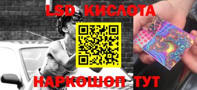 spice Бийск