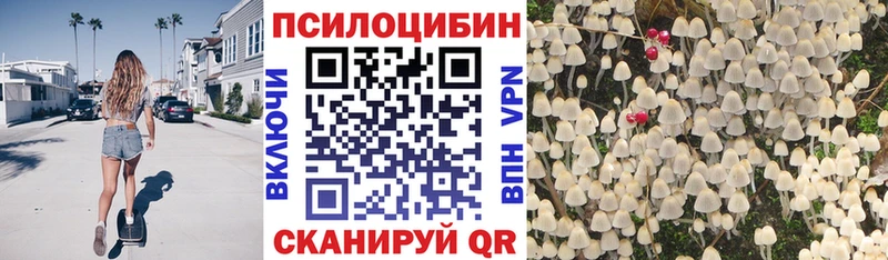 цены   Грязи  Галлюциногенные грибы Magic Shrooms 