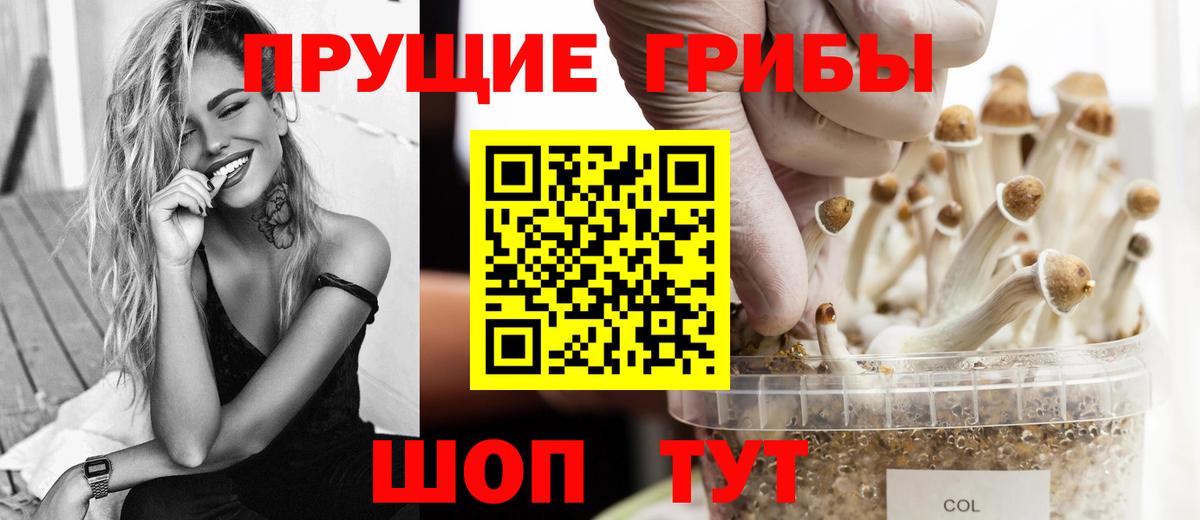 Грязи  Псилоцибиновые грибы ЛСД  даркнет сайт  Вход с VPN 