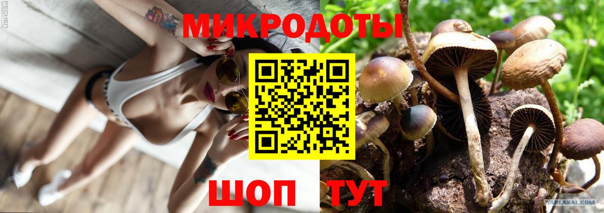 Псилоцибиновые грибы GOLDEN TEACHER Грязи